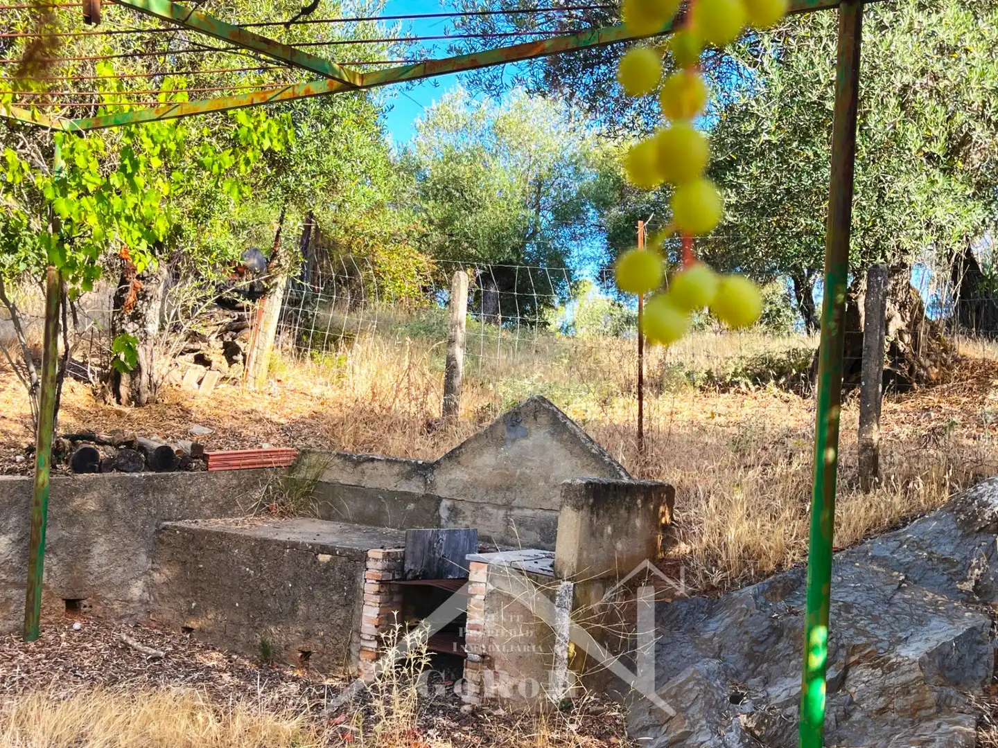 Land for sale in Constantina