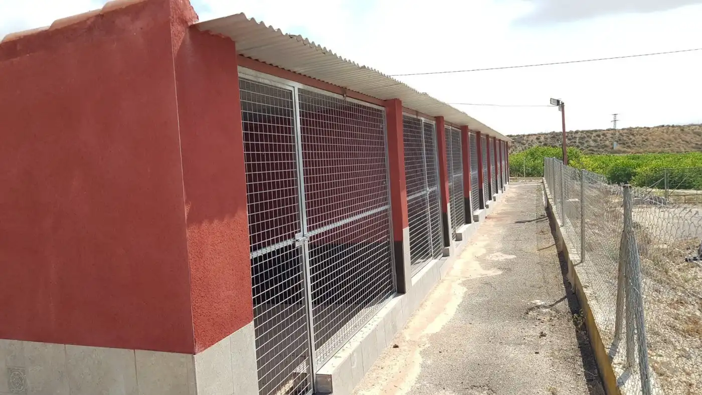 Vista exterior de Finca rústica en venta en Los Montesinos