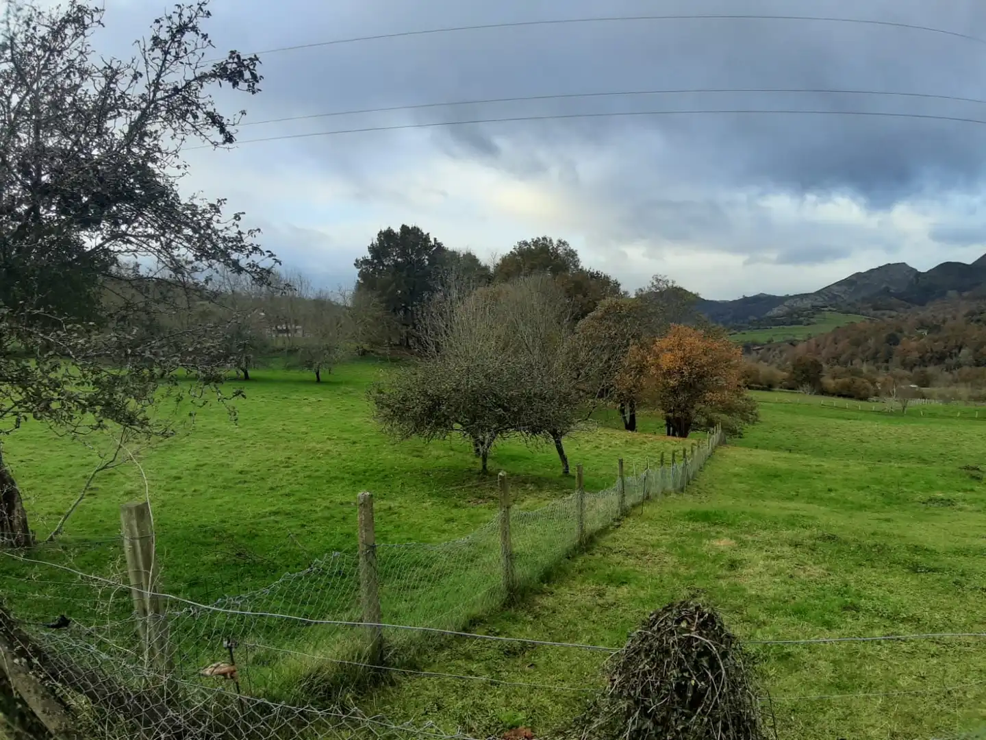 Terrenos y solares en venta en Parres, imagen 7