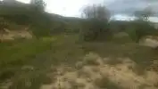 Rural land for sale in Avenida ALCOY, imagen 3