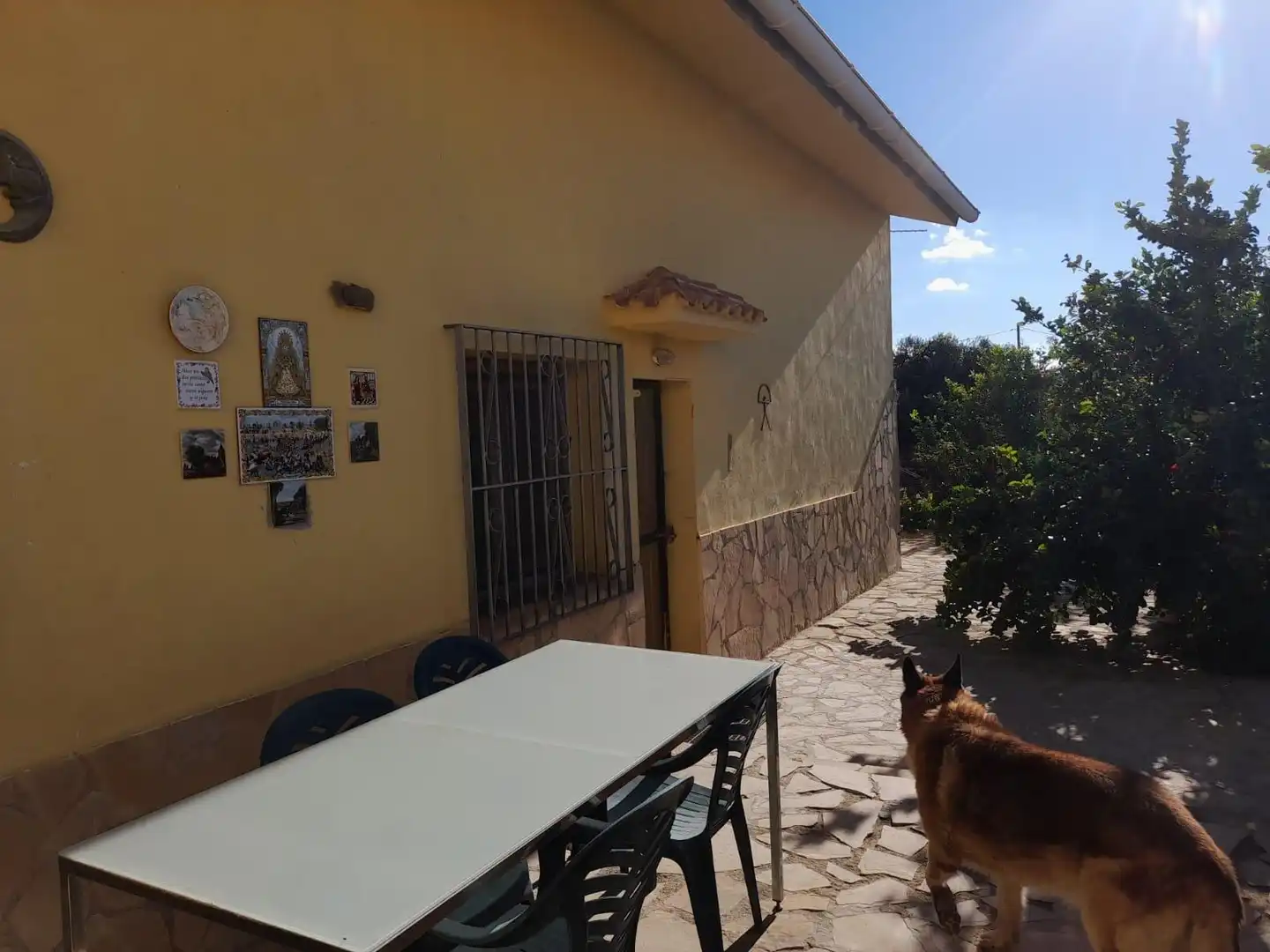 Vista exterior de Casa o xalet en venda en Flix amb Jardí privat, Terrassa i Traster