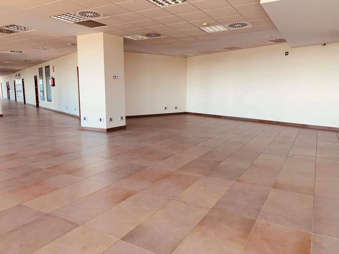 Oficina de alquiler en Santiponce