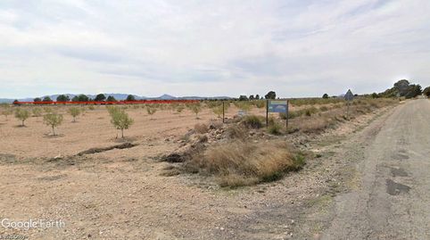 FINCA DE LABOR CON POSIBILIDAD DE EDIFICAR CASETA DE APEROS., immagine 2