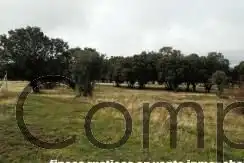 Finca rústica en venta en Cercedilla con Calefacción