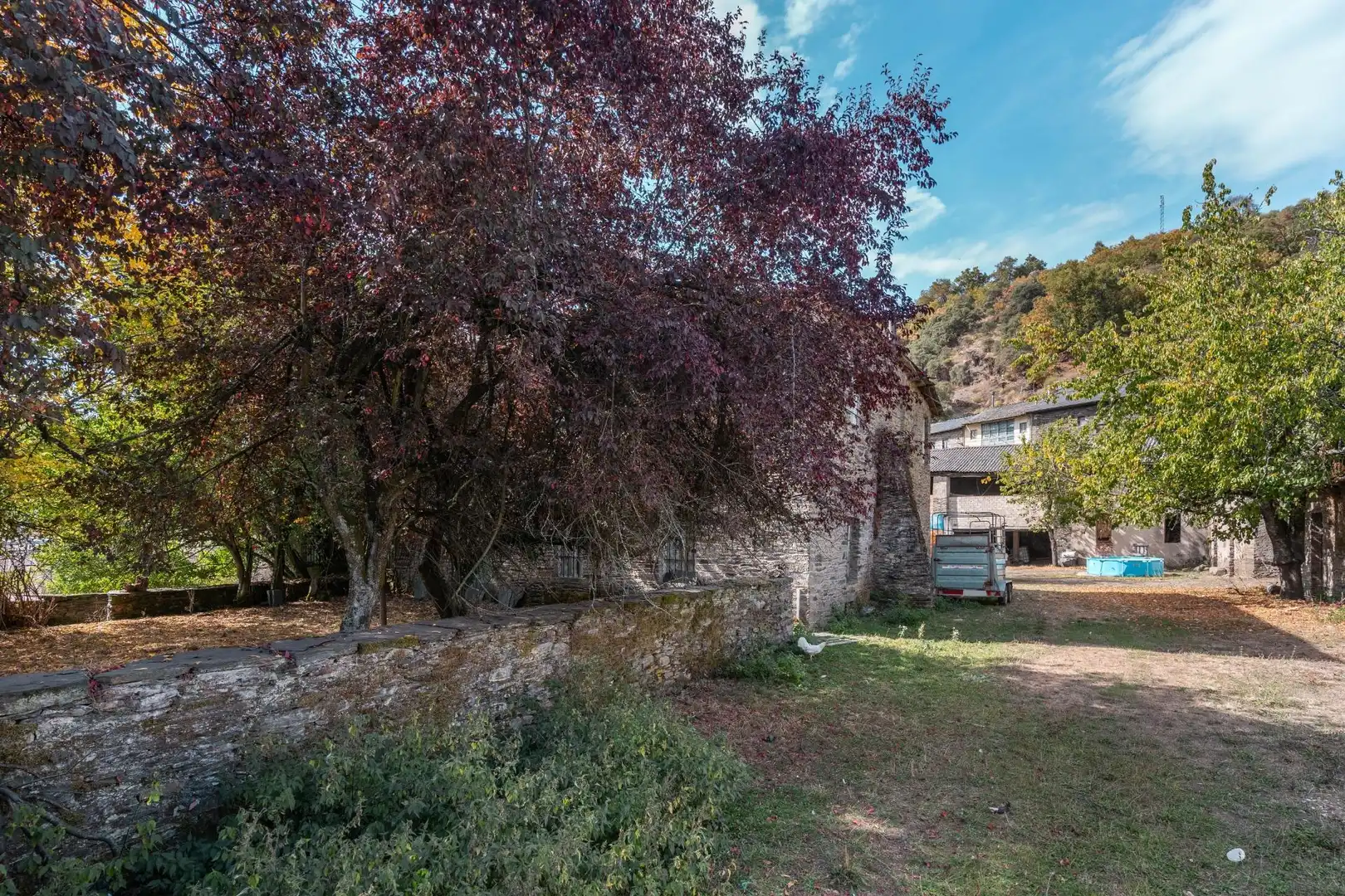 Jardín de Casa o chalet en venta en Palacios del Sil con Jardín privado