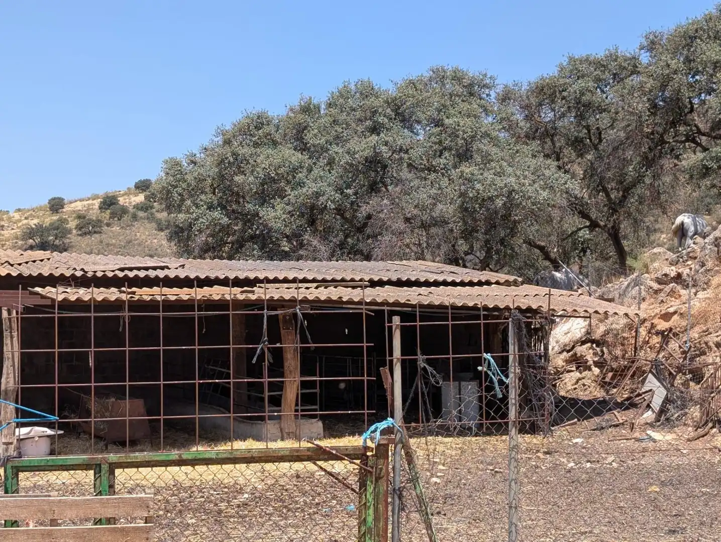 Casa rústica amb piscina en venda a Loja, imagen 63