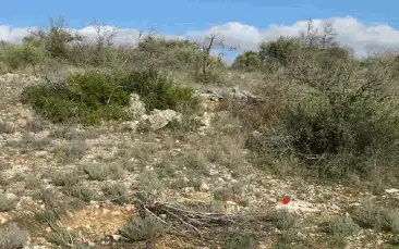 Terreny rústic en venda a Valdeavellano