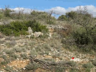 Terreno rustico in vendita a Valdeavellano