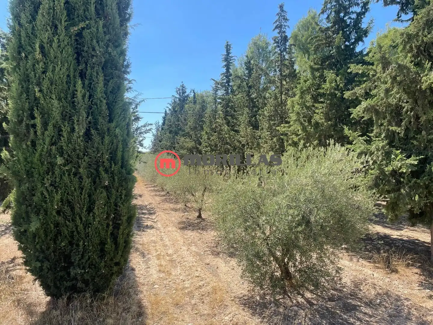 Residential land for sale in Caravaca de la Cruz, imagen 2