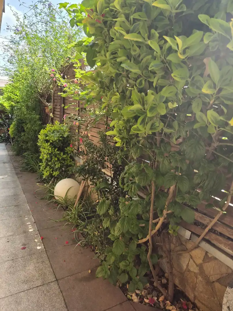Jardín de Casa o chalet en venta en Pineda de Mar con Calefacción, Jardín privado y Parquet