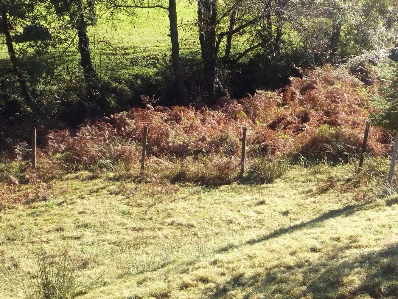 Residential land for sale in Valdáliga, imagen 3