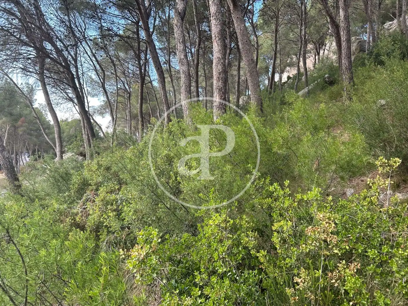 Wohnbaugrundstück zum Verkauf in El Bosque, imagen 6