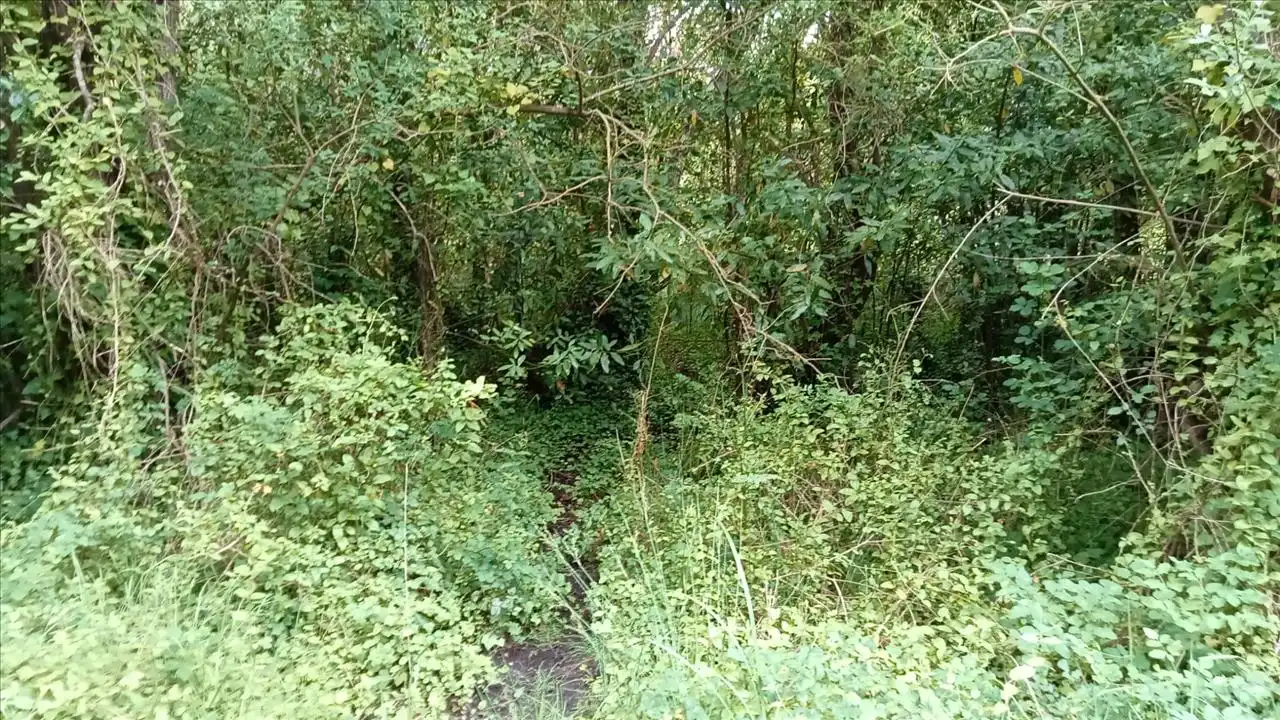 Grundstücke und Bauplätze zum Verkauf in Camposa-Beco, imagen 10