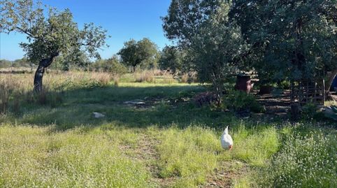 Foto 3 de Casa o chalet en venta en Polígono del Aeropuerto, Manises