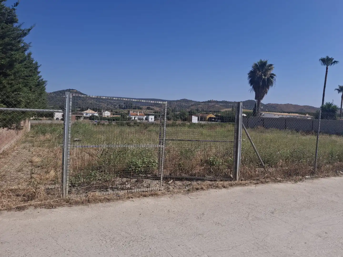 Terreny rústic en venda a Avenida del Convento 12, imagen 3