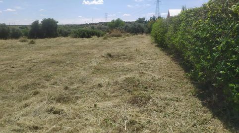 Foto 5 de Terreno en venta en Camino de Valdegorzas, Perlita, Arganda del Rey