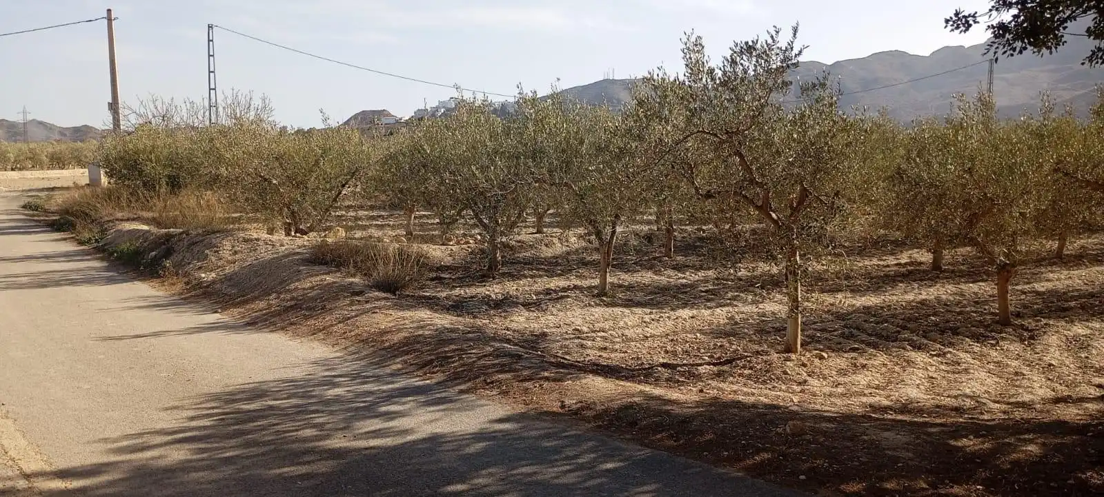 Maison avec jardin à vendre à Mojácar Pueblo, imagen 51