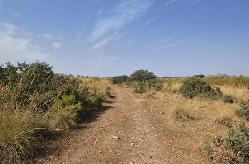Terreni e lotti in vendita a Padul, imagen 9