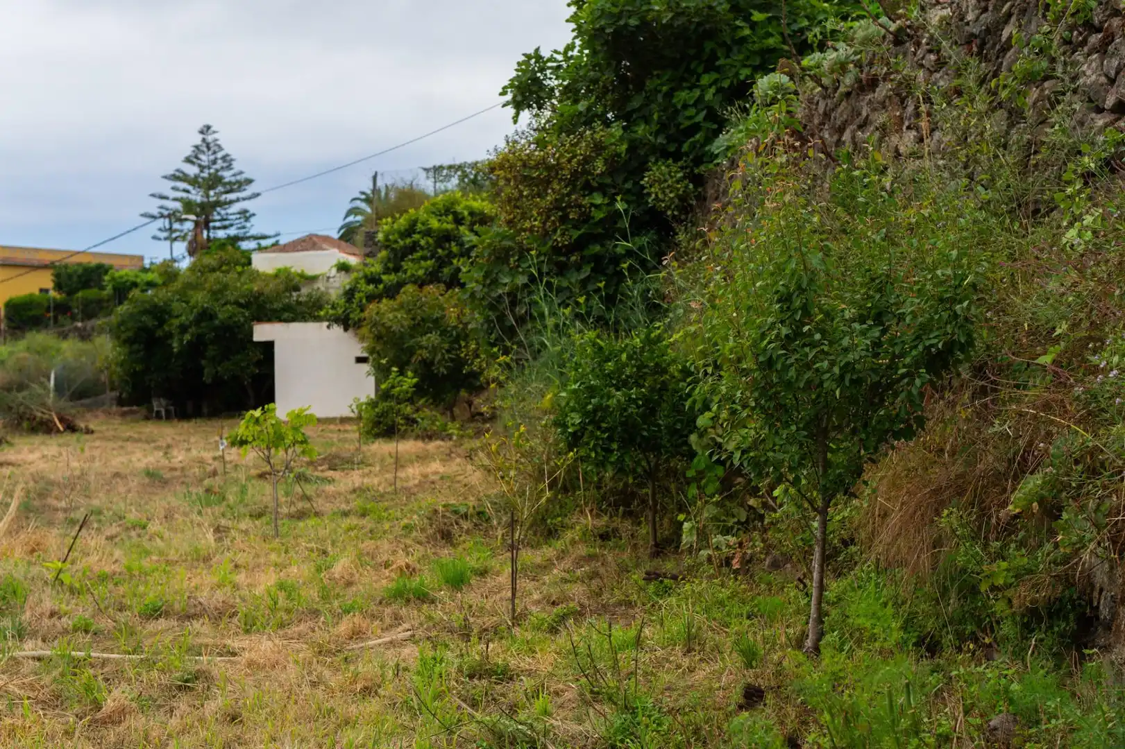 Terreno rustico in vendita a Las Cuevas - Los Gómez, imagen 4