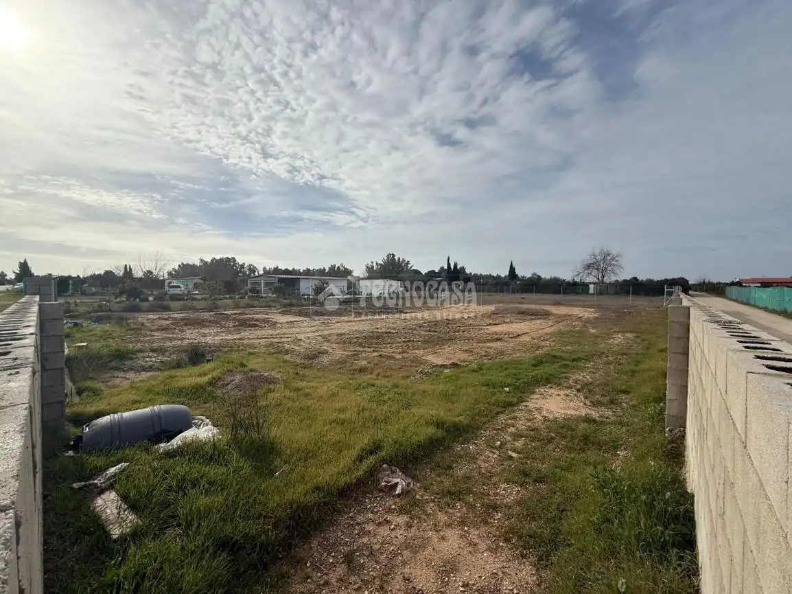 Grundstücke zum Verkauf in Arahal