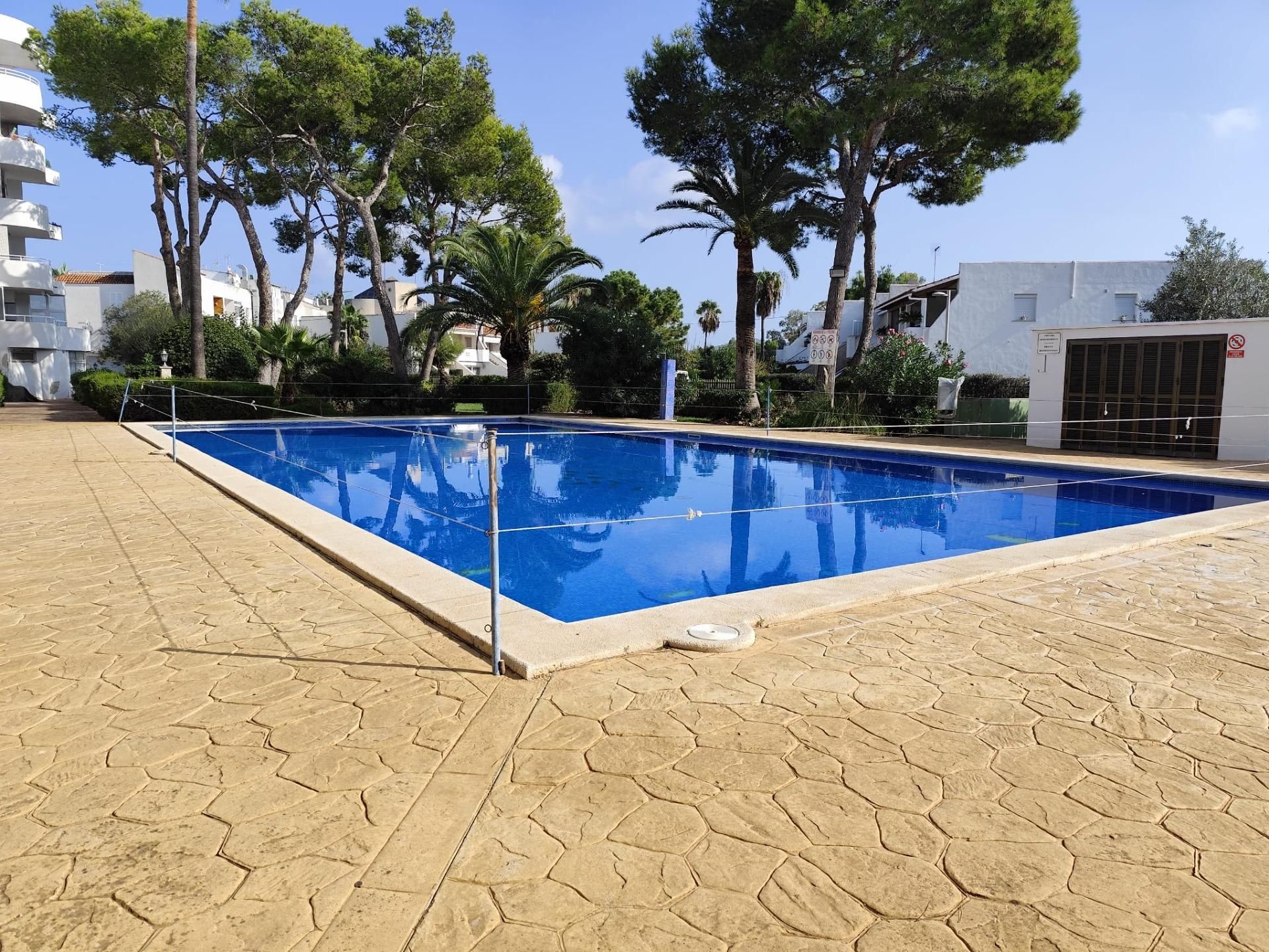 Piscina de Apartament de lloguer en Alcúdia amb Aire condicionat, Calefacció i Jardí privat