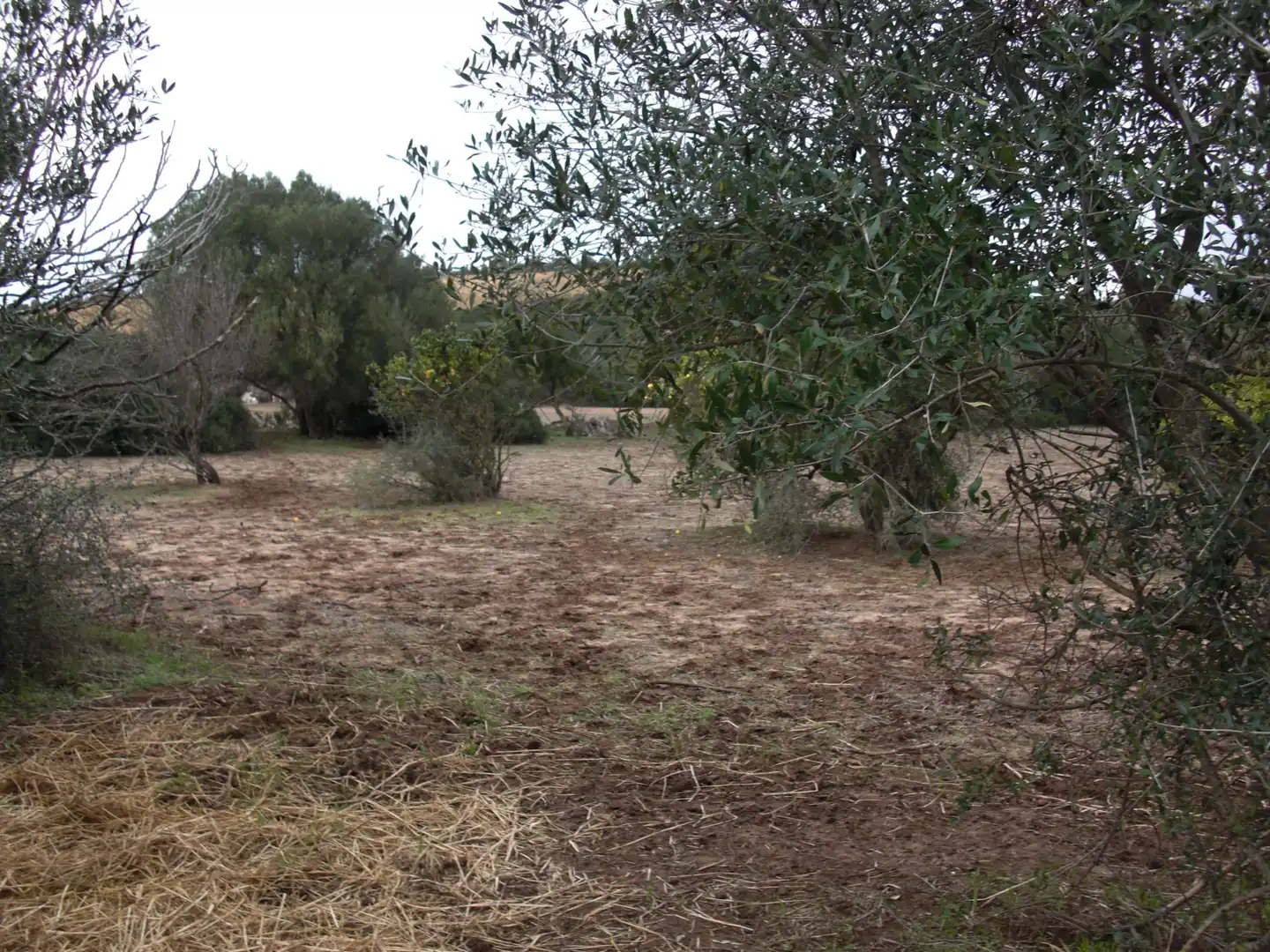 Finca rústica en venda en Vejer de la Frontera