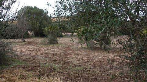 Foto 5 de Finca rústica en venda a Vejer, Vejer de la Frontera