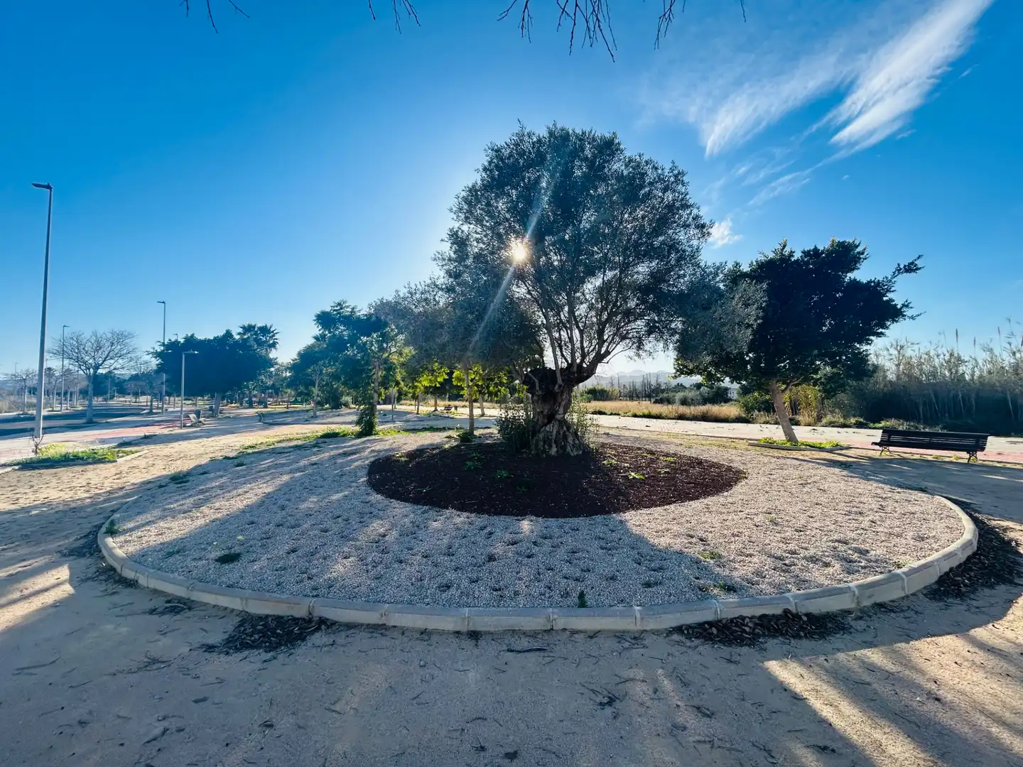 Terreny residencial en venda a El Verger, imagen 8