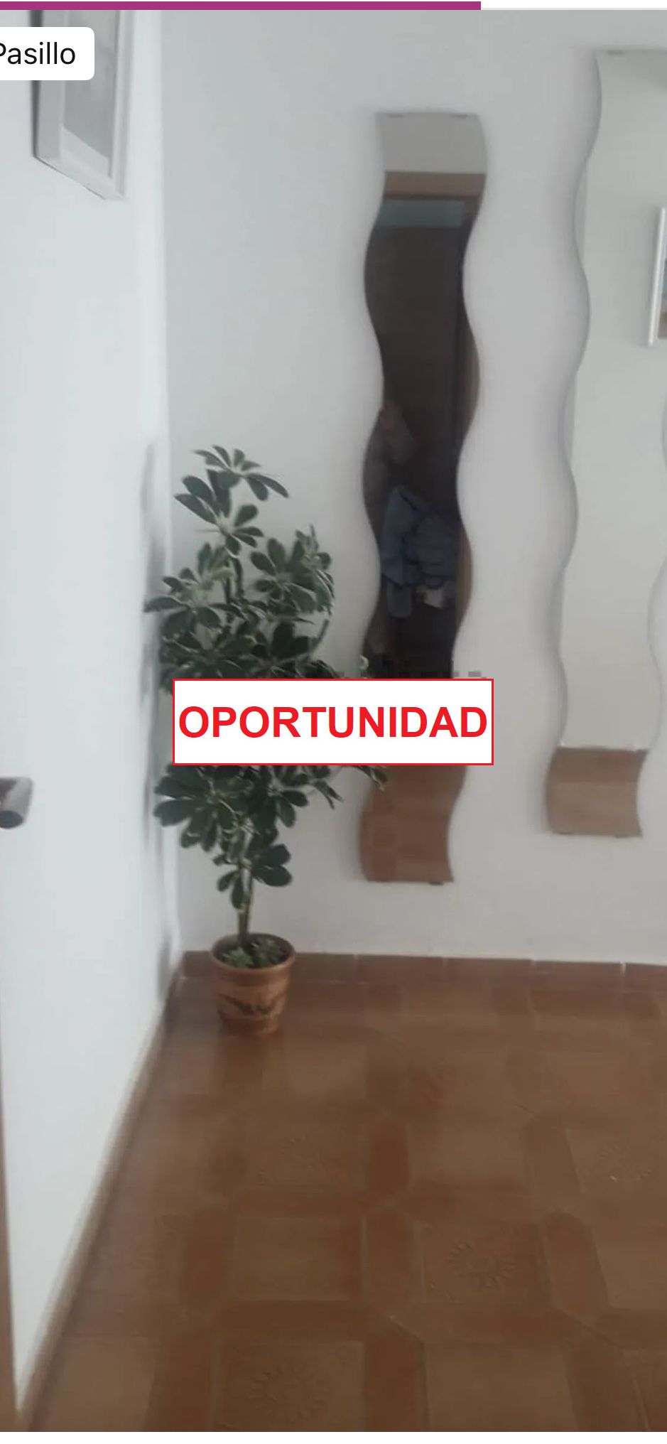 Garden of Flat to rent in Ciudad Real Capital  with Heating, Terrace and Furnished
