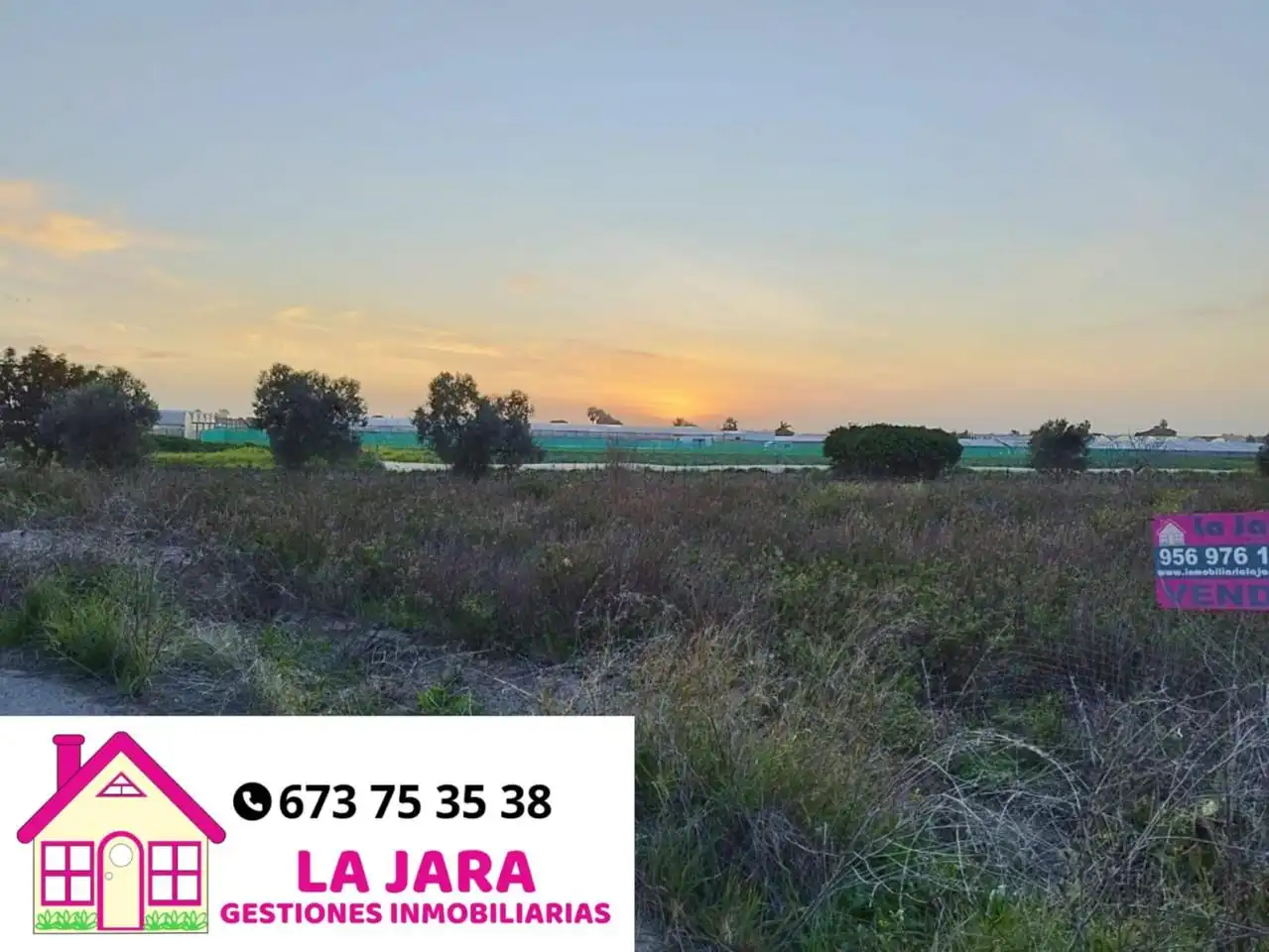 Terreni e lotti in vendita a De La Reyerta