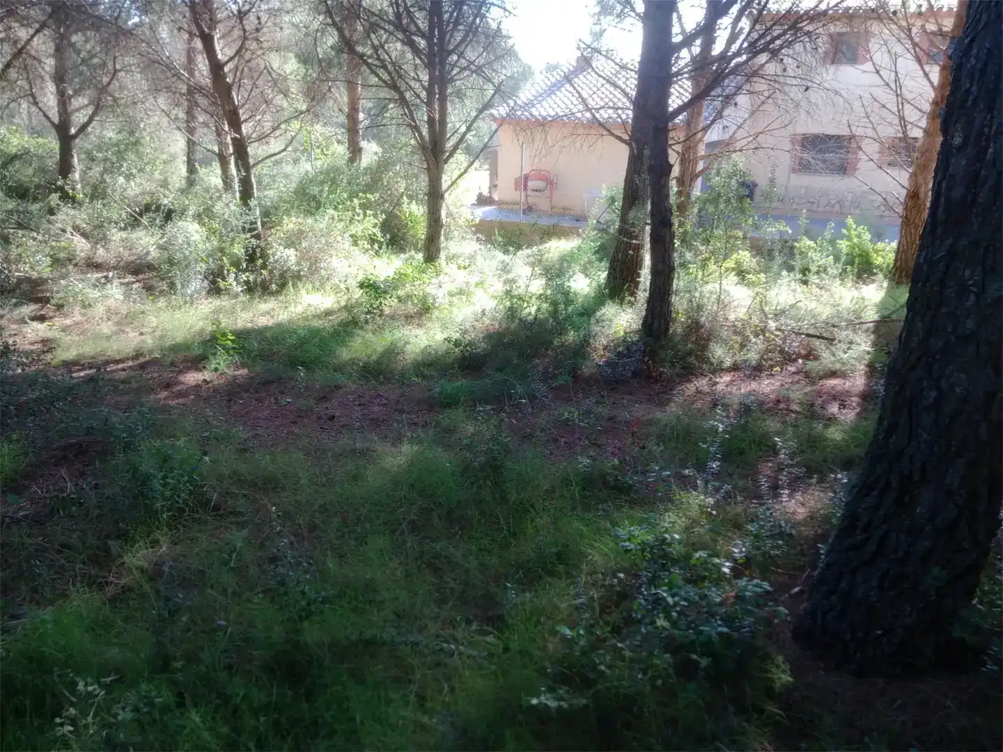 Residential for sale in L'Albiol