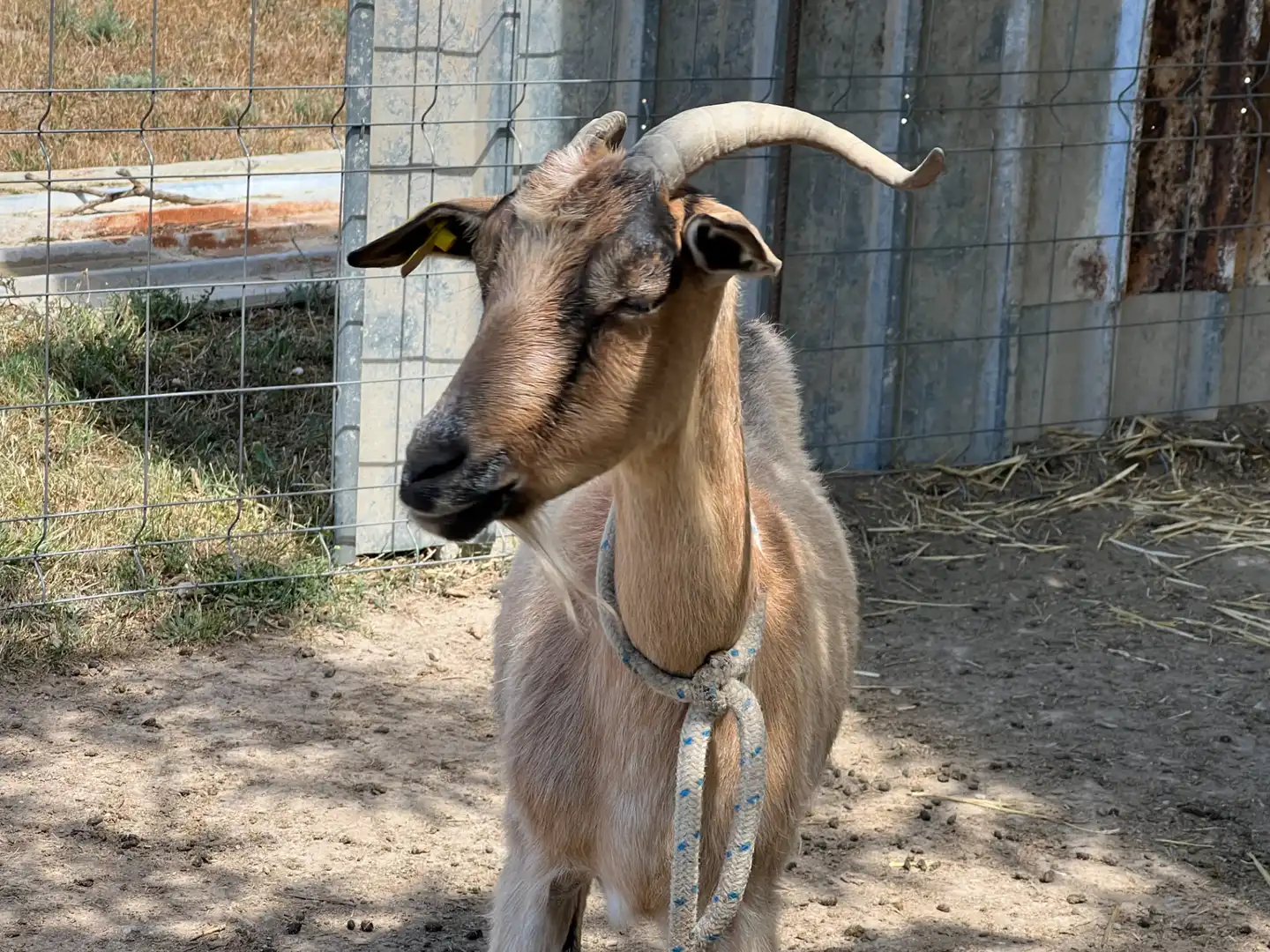 Terreni e lotti in vendita a Barrios rurales del oeste, imagen 4