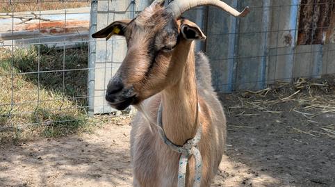 Foto 4 de Terreno en venta en Monzalbarba,  Zaragoza Capital