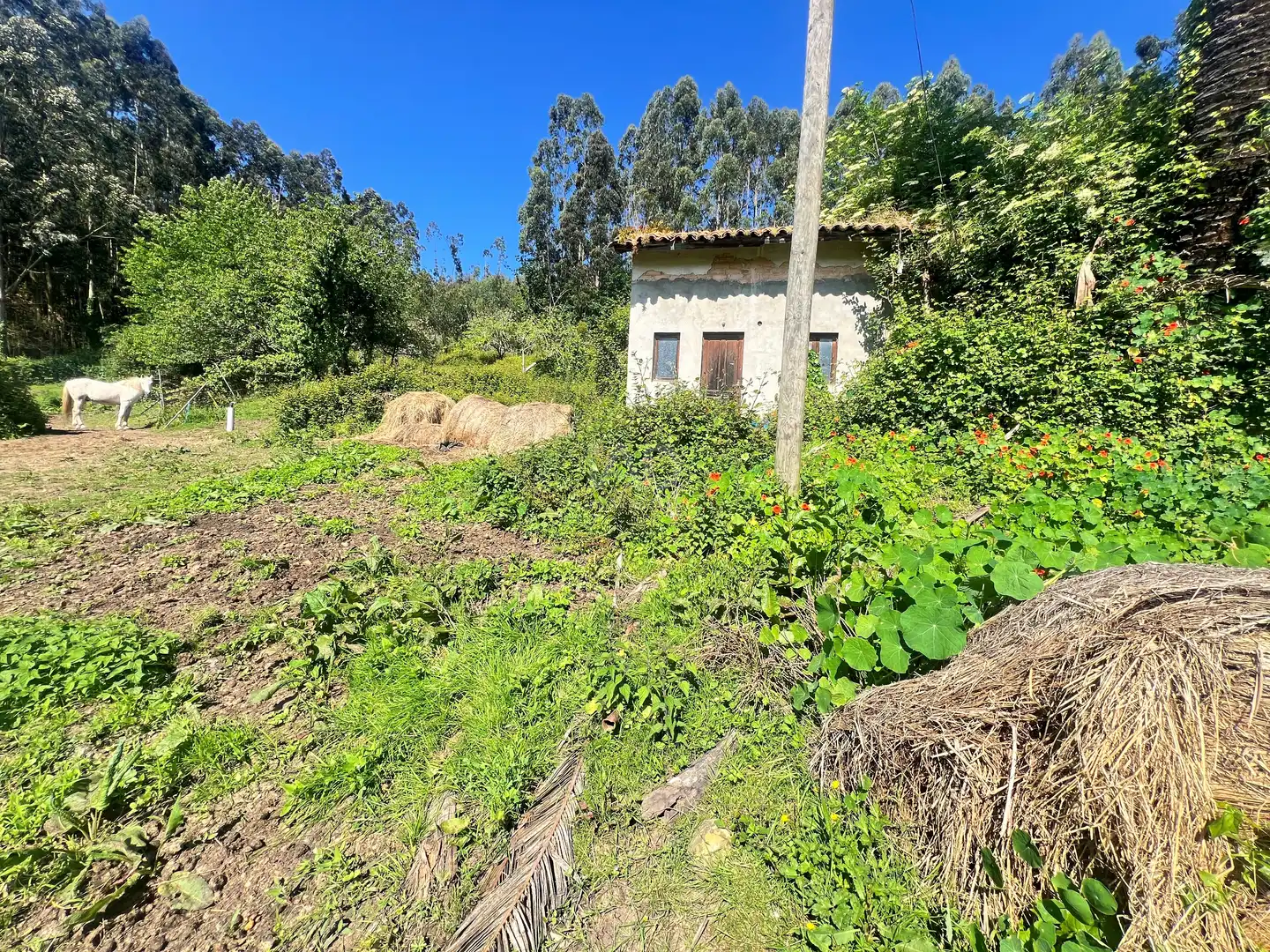 Einfamilien-Reihenhaus zum Verkauf in Castrillón