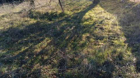 Foto 5 de Casa o xalet en venda a Calle Fuente, Monterrubio de la Sierra, Salamanca
