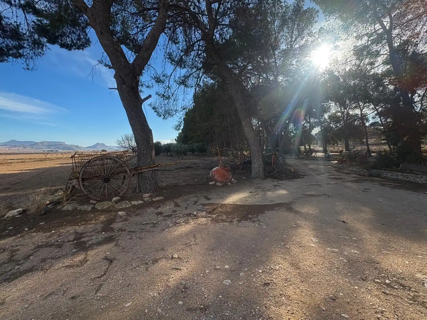 Finca rústica en venta en Ontur