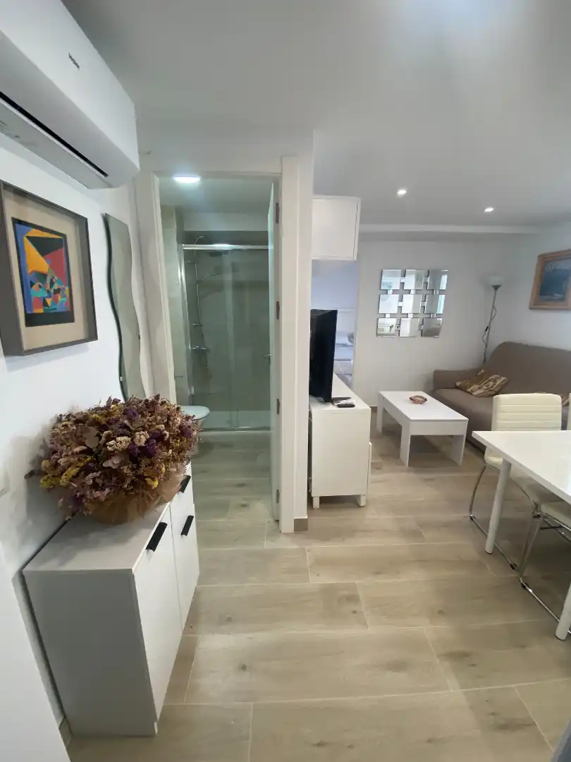 Sala d'estar de Apartament de lloguer en Málaga amb Aire condicionat, Moblat i Rentadora