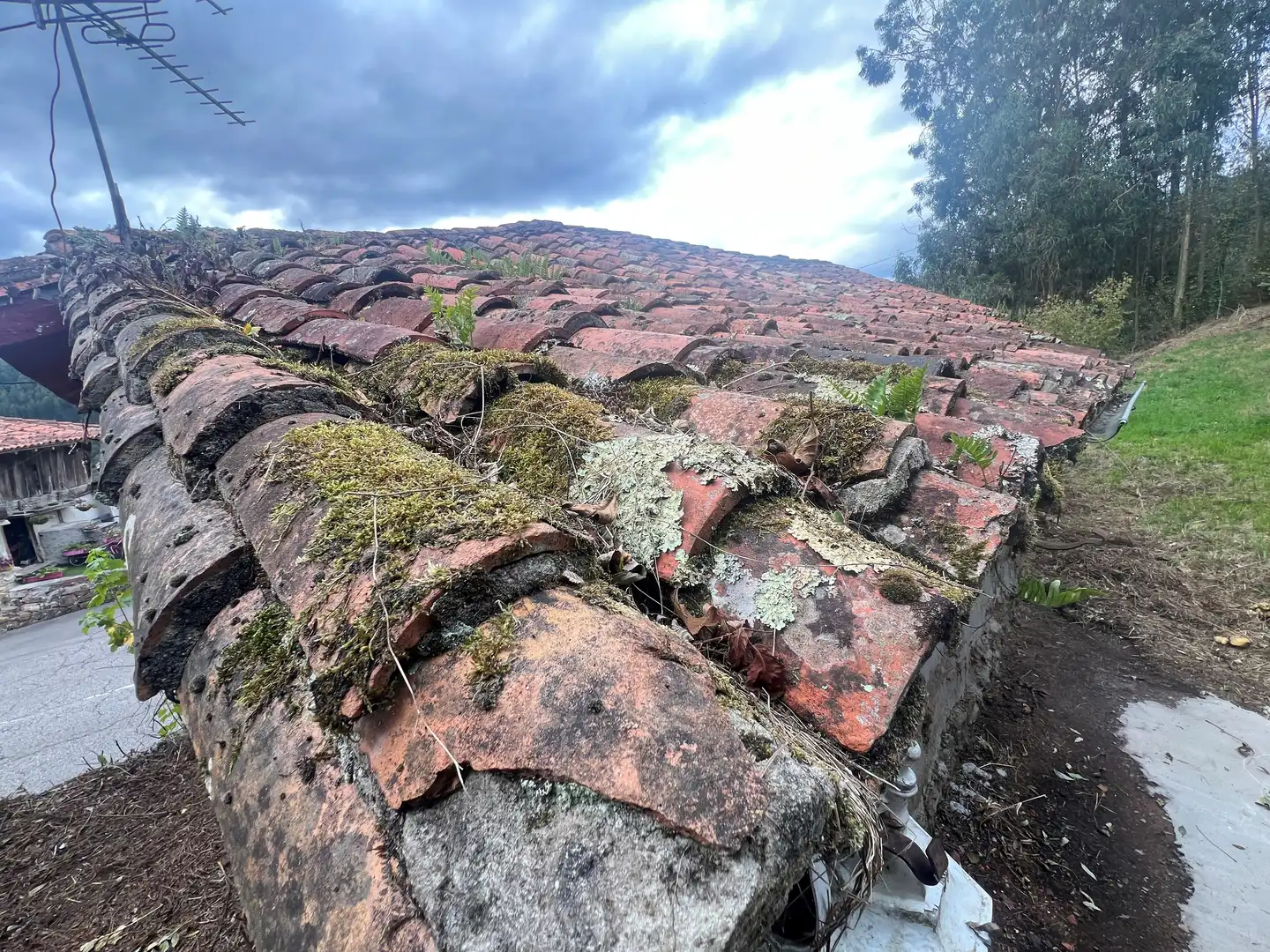 Finca rústica en venta en Candamo