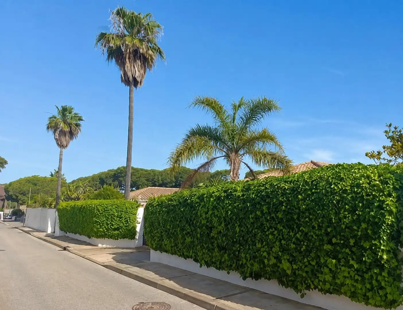 Vista exterior de Casa o chalet en venta en Chiclana de la Frontera con Aire acondicionado, Jardín privado y Trastero