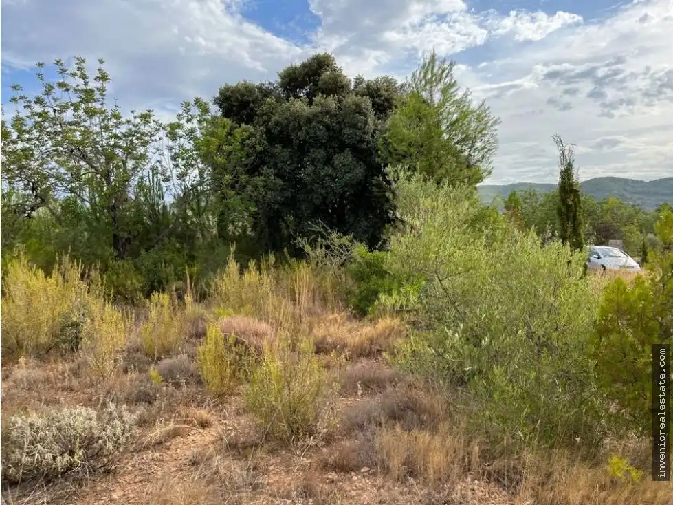Country homes for sale in Useras /  Les Useres