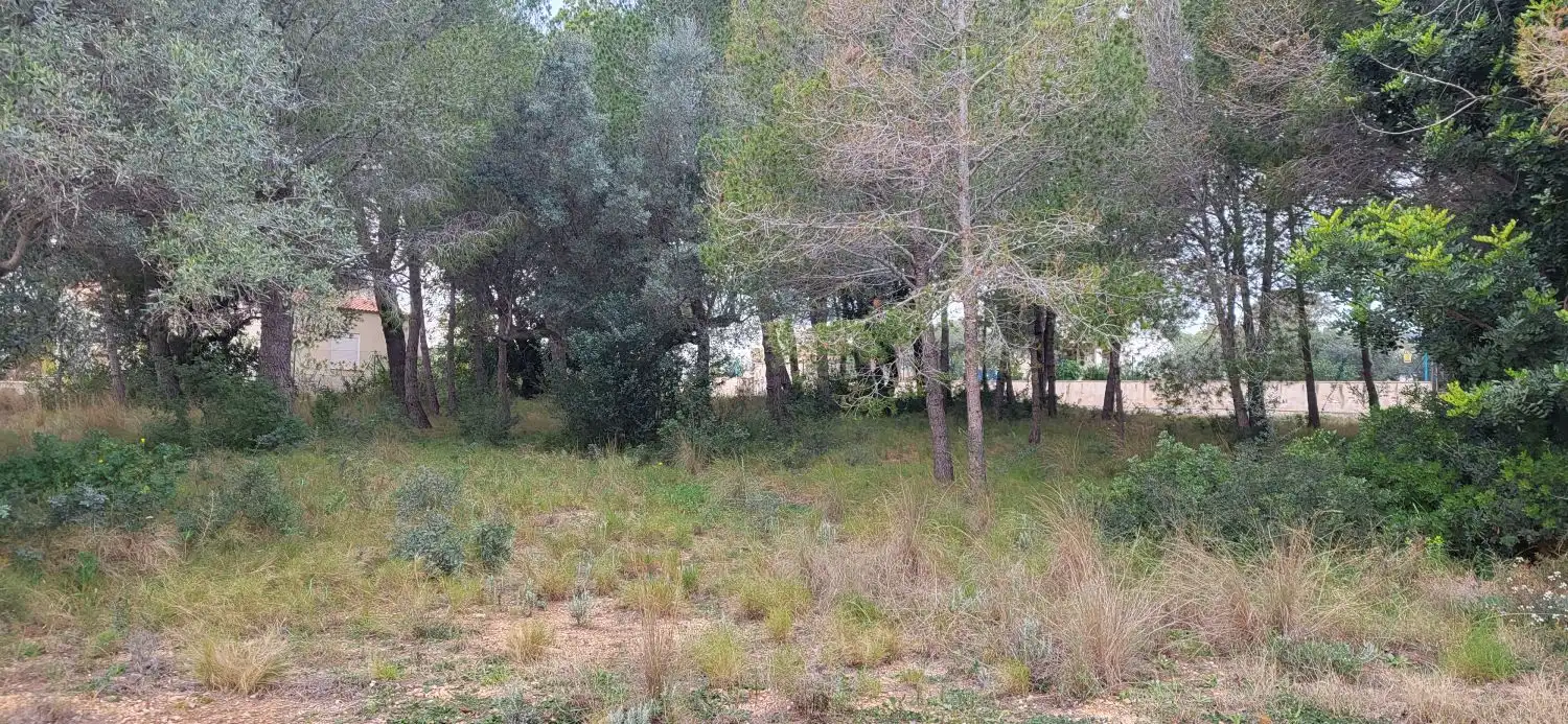 Lands and plots for sale in Meligó, imagen 2