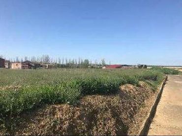 Lands and plots for sale in Cuenca de Campos