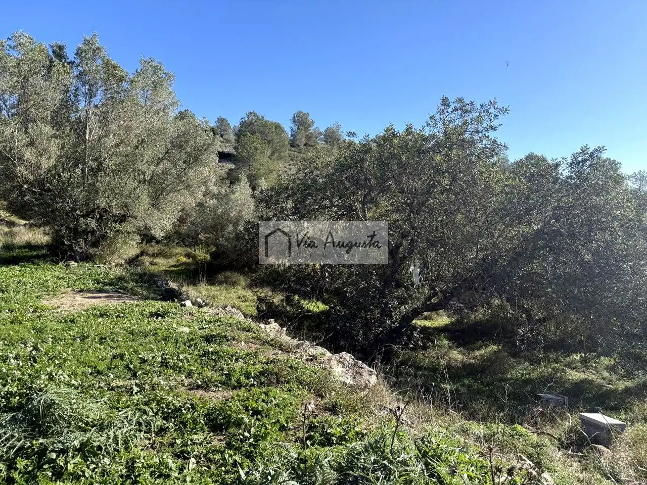 Terreno rustico in vendita a Bassa d'en Baró, imagen 36