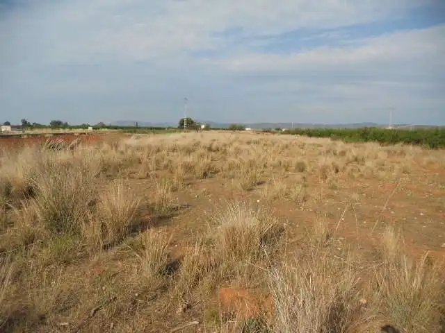 Rural land for sale in Ptda Bustalet, Varias parcelas, imagen 5