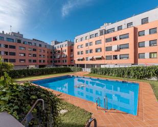 Swimming pool of Flat to rent in Málaga Capital