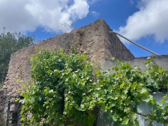 Haus mit Garten zum Verkauf in Sant Josep, imagen 9