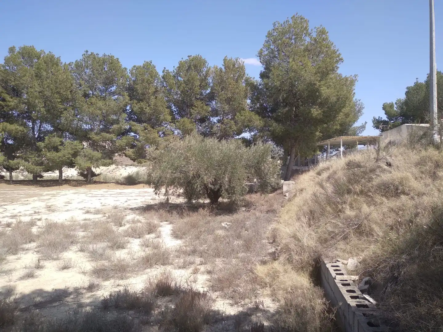 Terreni e lotti in vendita a Campos del Río, imagen 9