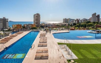 Piscina de Pis de lloguer en Benidorm amb Aire condicionat, Terrassa i Balcó