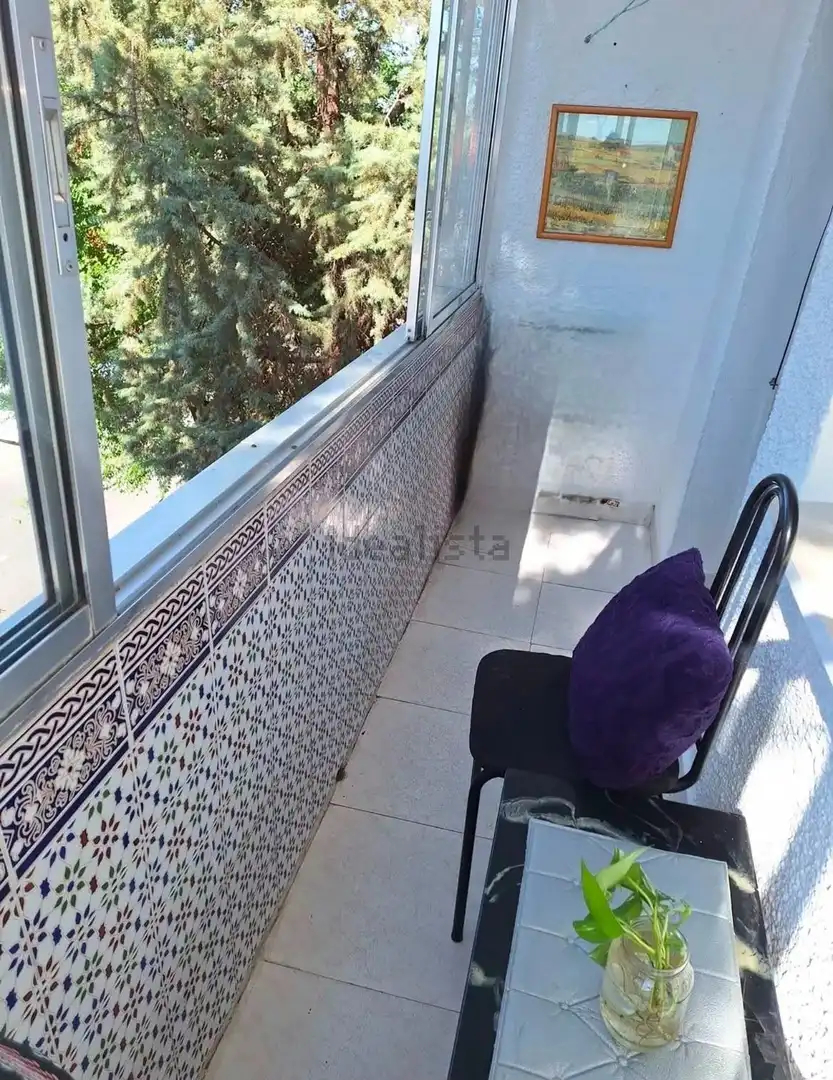 Apartament amb terrassa de lloguer a San Martín de la Vega, imagen 4