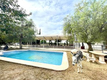 Landhaus mit Pool zum Verkauf in Orihuela ciudad
